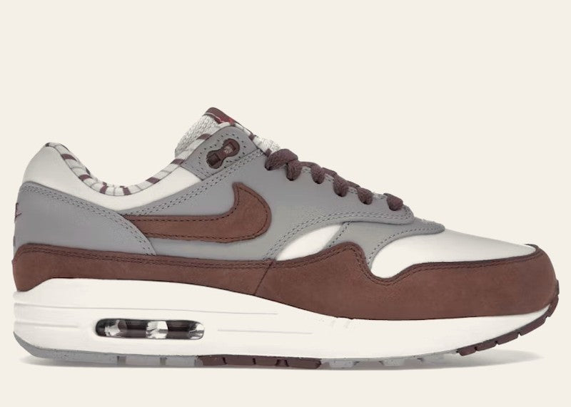 Nike Air Max 1 Premium Shima Shima (2023)