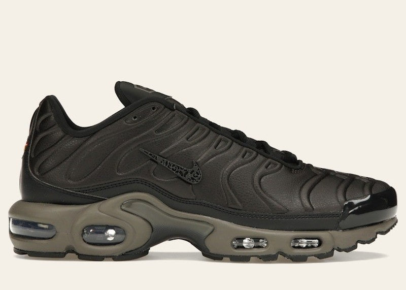 Nike Air Max Plus Premium Paris