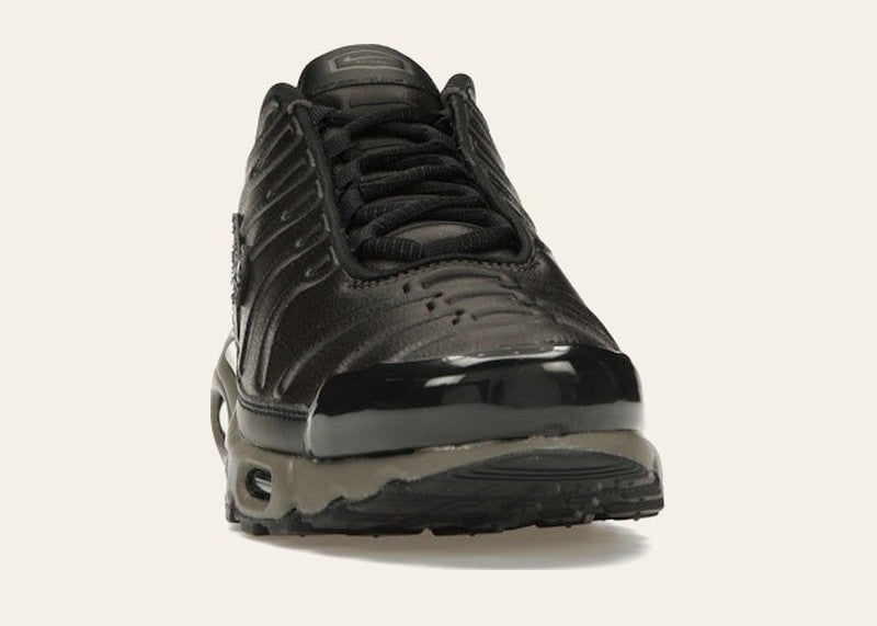 Nike Air Max Plus Premium Paris