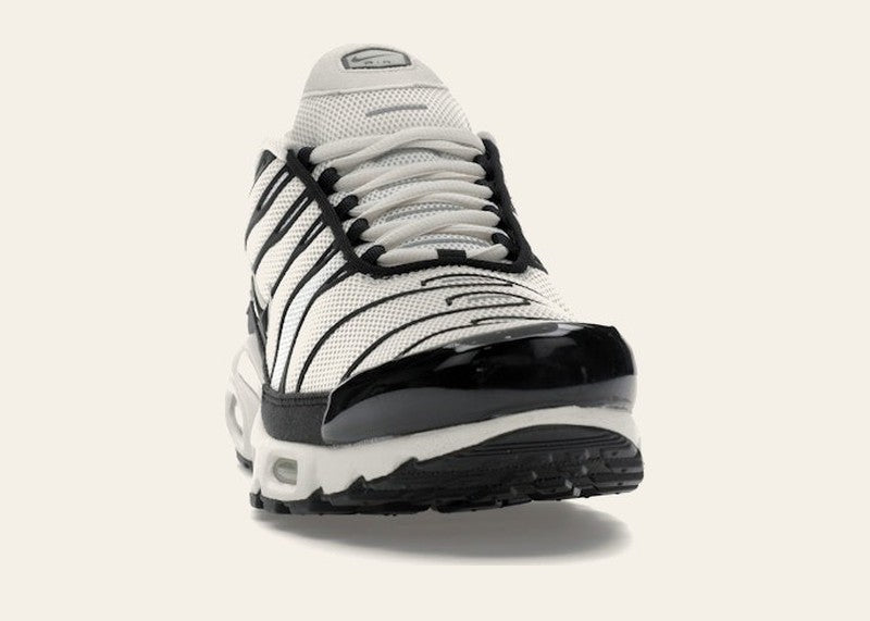Nike Air Max Plus Panda