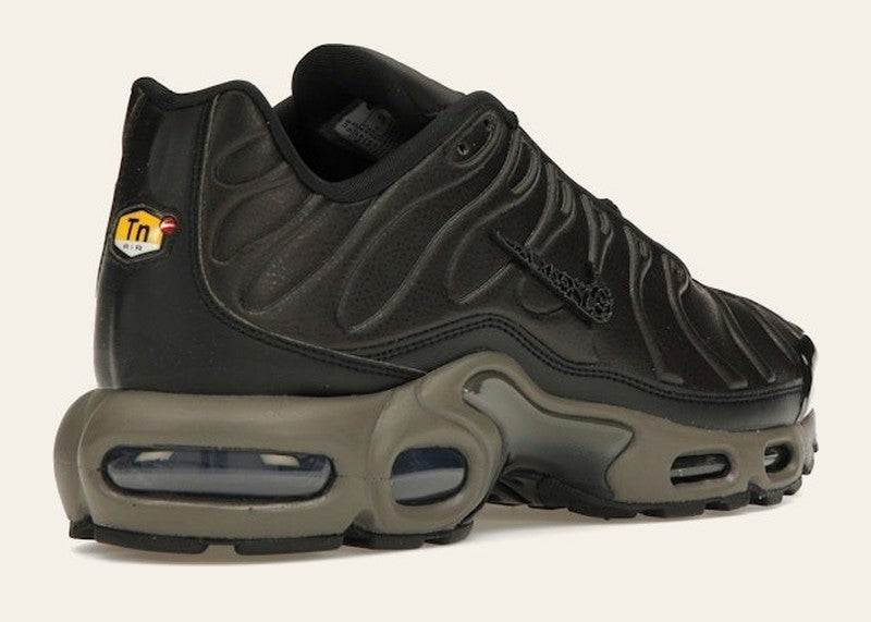 Nike Air Max Plus Premium Paris